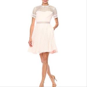 NWT Ted Baker Gracyee Lace Skater Dress